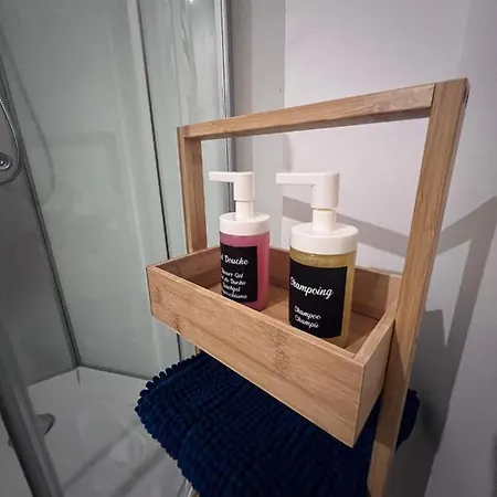 Апартаменты Climatise Aux Pieds De La Cite Каркассон