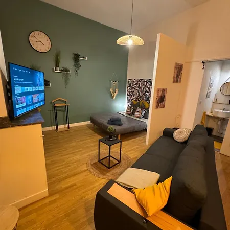 Climatise Aux Pieds De La Cite Apartamento *